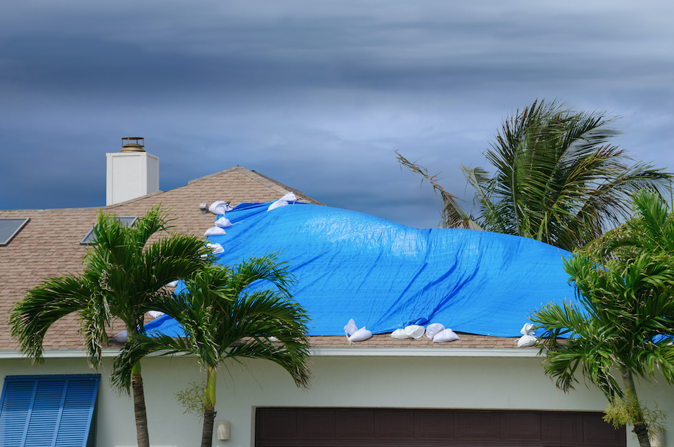 Storm damaged roof on house with a blue plastic tarp over a hole in the shingles and rooftop; temporary fixes for a leaking roof