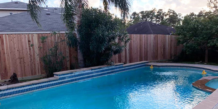 Pool and Fencing