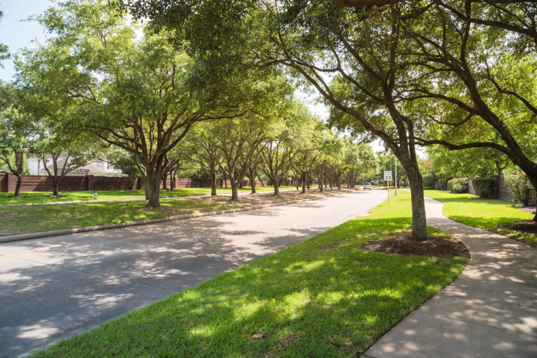 5 Beautiful, Can'tMiss Parks In Katy, TX (Ranked)